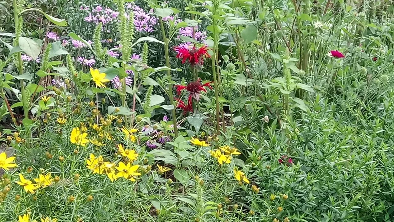Ferienwohnung Waldblick Zweibrücken Buitenkant foto