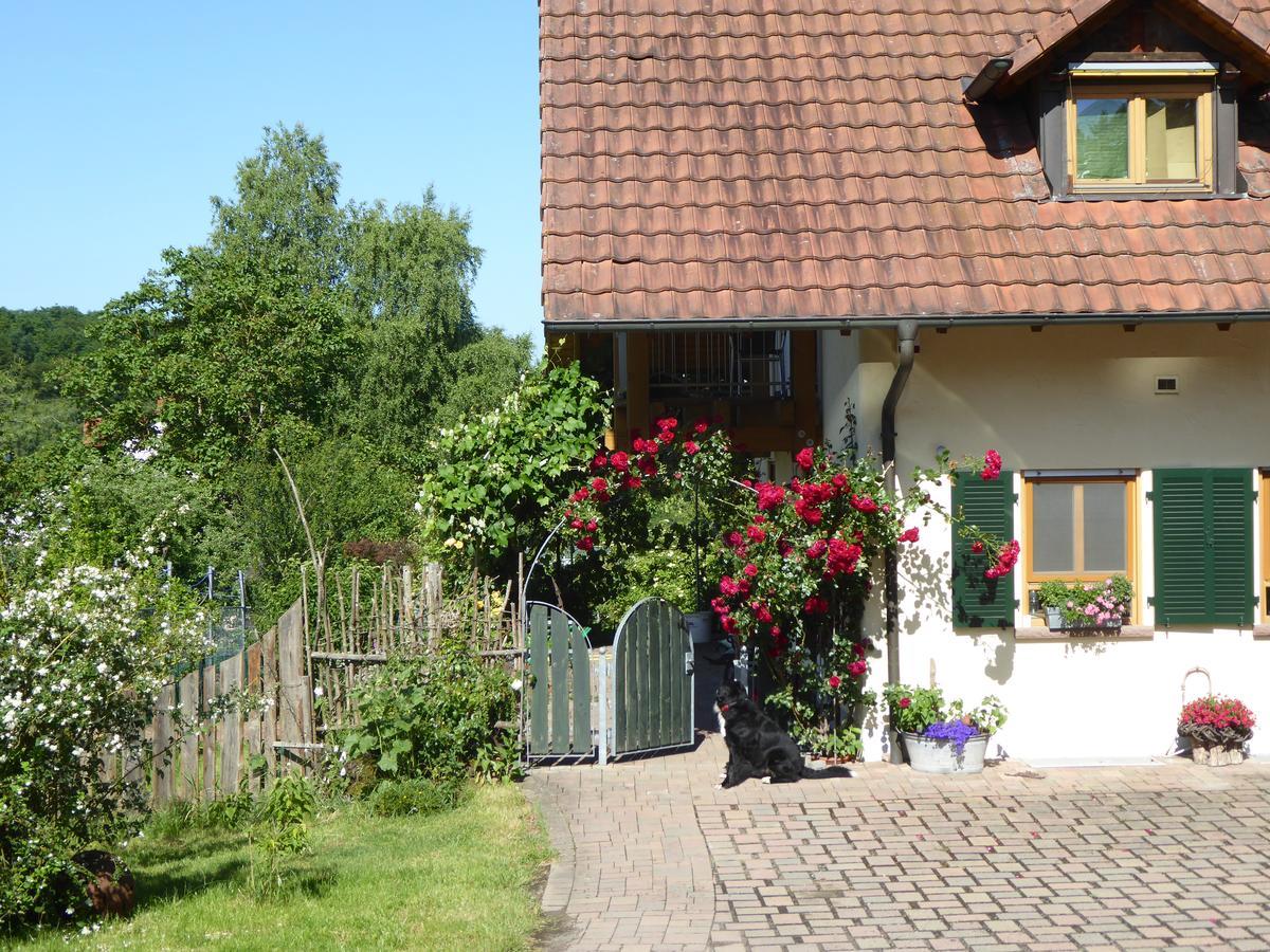 Ferienwohnung Waldblick Zweibrücken Buitenkant foto